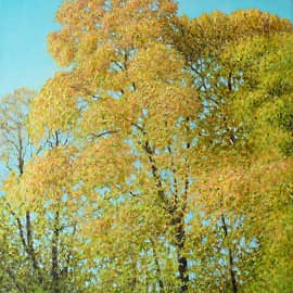 Золотая осень