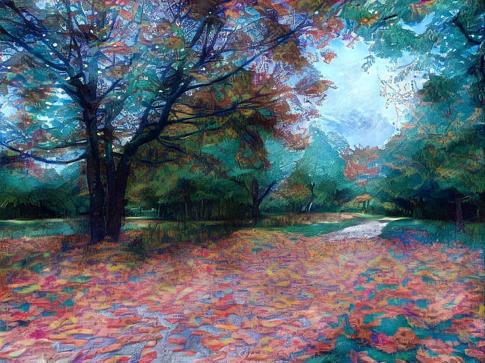 Листья на дороге.