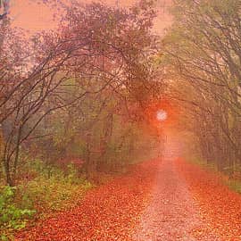 дорога к солнцу