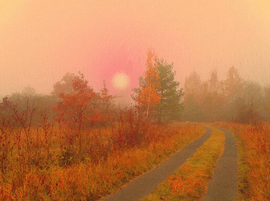 Прислонилась берёзка к ёлочке.