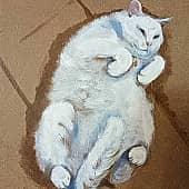 кошка, этюд