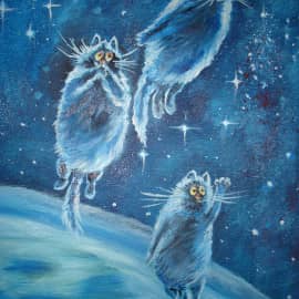 Космические котики.
