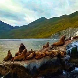 Животные 093