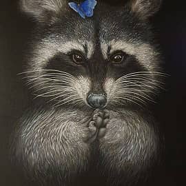 Енот и бабочка