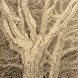 Ночь. Липы в снегу