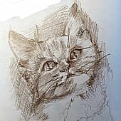 Рисунок котёнка
