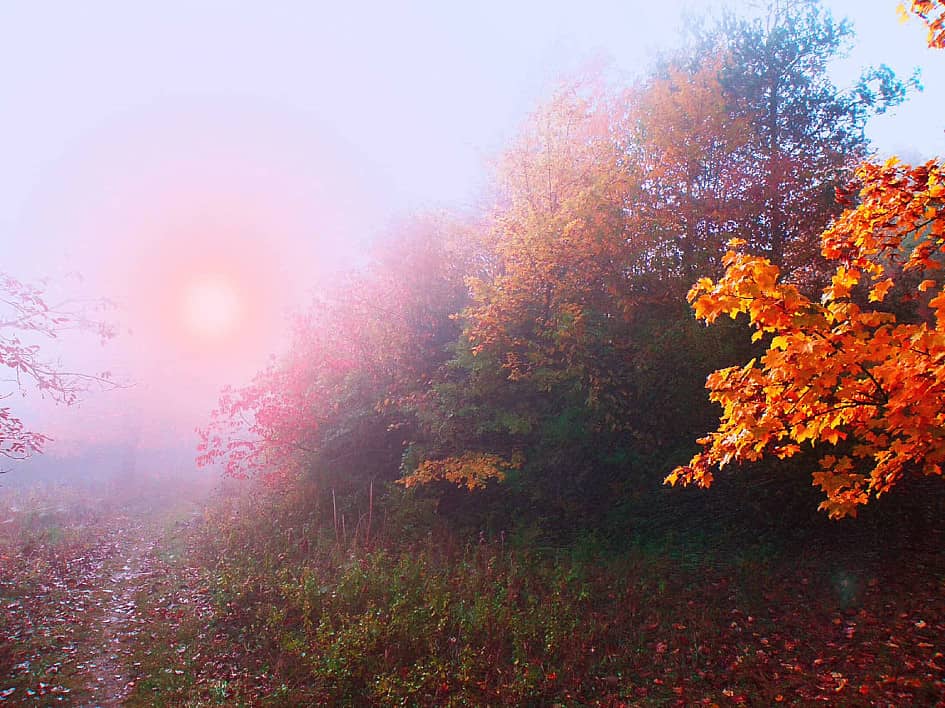 Сквозь туман.