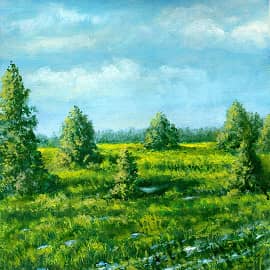 После дождя  After the Rain