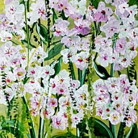 Старый альбом. Флоксы