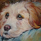 Жду хозяина. Грустно одному.