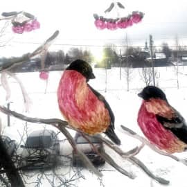 Снегири на оконном стекле.