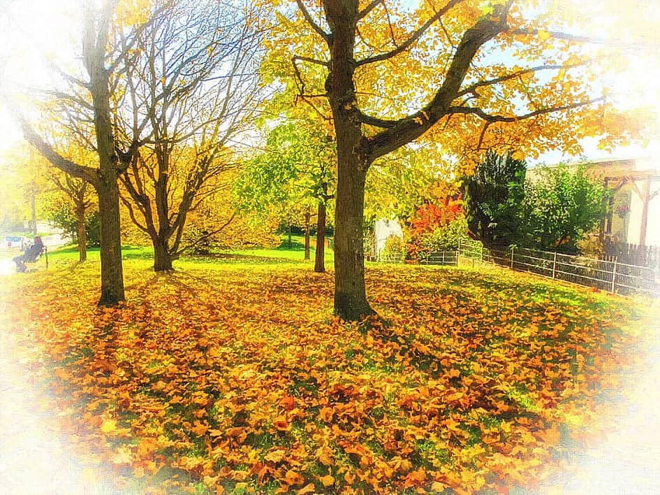 Облетают листья.