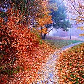 Осенние тропинки.