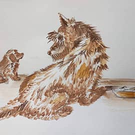 Братья наши меньшие