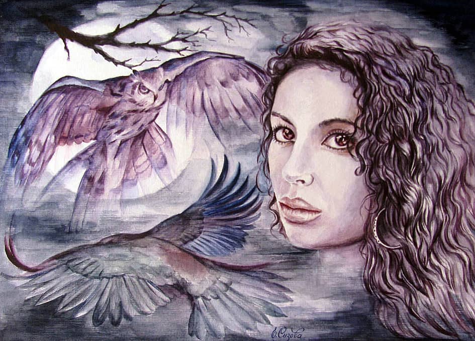 Ночные птицы