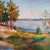 Сосны