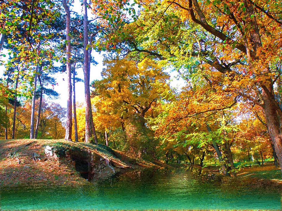 Сосны на берегу.