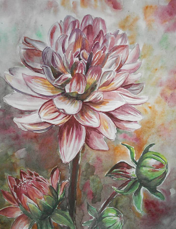 Распустился.