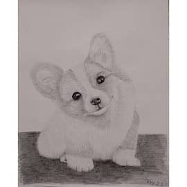 Добрый корги