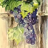 Виноград