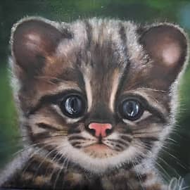 Котенок тигровой кошки