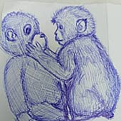 Одинокая обезьянка Панч из зоопарка Итикава