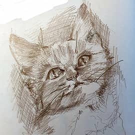 Рисунок котёнка