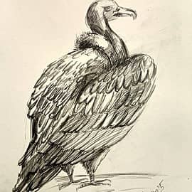 Графика и рисунок