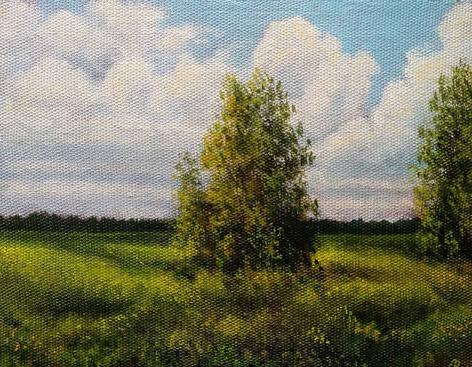 Середина лета  The Middle of the Summer