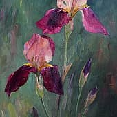 Ирисы