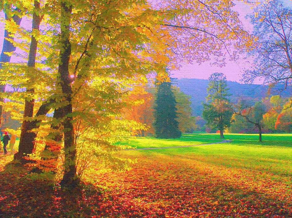 В солнечном свете.