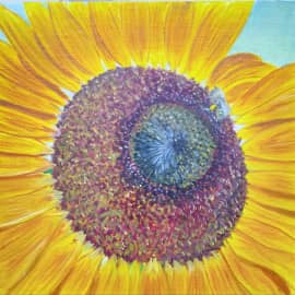 Под солнышком