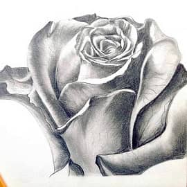 Графика и рисунок