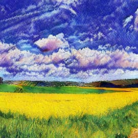 Полевая дорога.