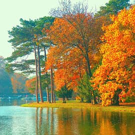 Берег осени.