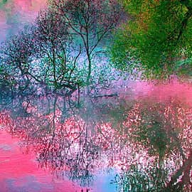 Отражение рассвета.