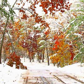 Неожиданый снег