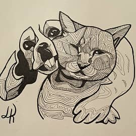 Как кот с собакой