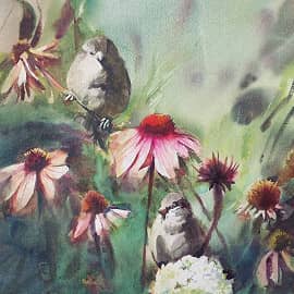 Воробьи и эхинацея.