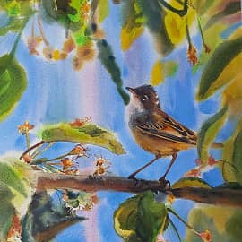 Птичка. Весна.