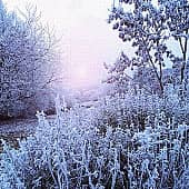 Холодный рассвет.