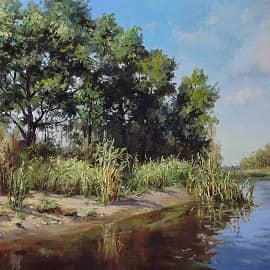 Речная пляжная заводь