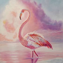 Фламинго в лучах заката