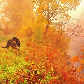 Портрет в профиль.