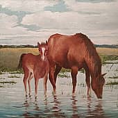 К водопою...