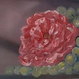 Розовое на зеленом