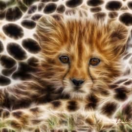 Животные 001