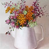 Летнее разнотравье