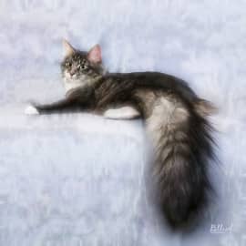 Животные 032