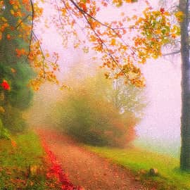 Дорога в туман.